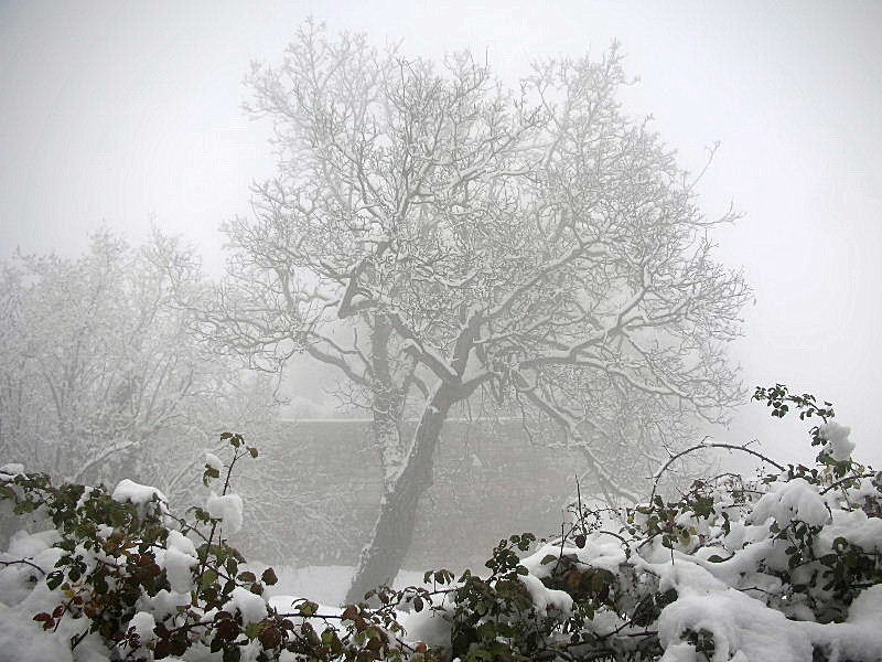 Panorami innevati